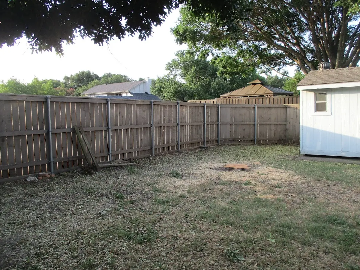 Cleared yard after professional tree removal in Hazel Green